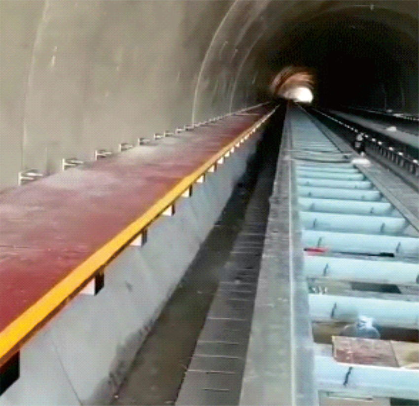 ������ɢƽ̨